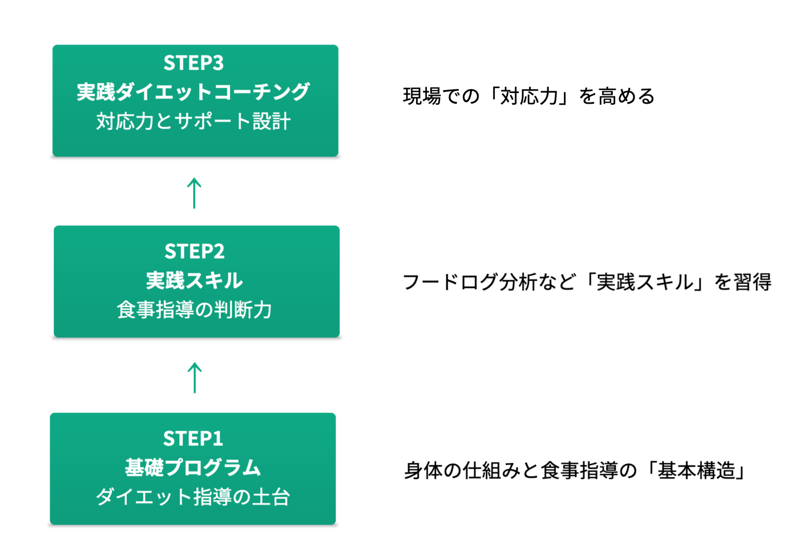 ダイエットコーチ養成講座の学習ステップ図